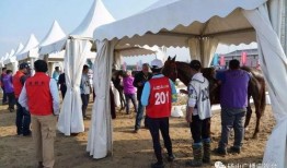 砀山最新事件爆料新闻,揭秘突发事件背后的真相