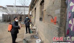 曲阳县下河镇最新爆料,揭秘神秘事件背后的真相